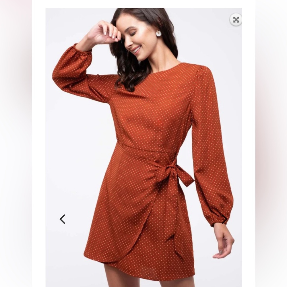 Francesca’s Dress